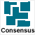 Consensus. L'espai de participació a Internet de Sant Feliu de Llobregat