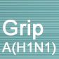 Grip A(H1N1)