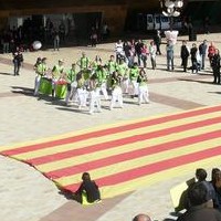 Unes 22 corals de la demarcació de Lleida han actuat aquest diumenge sota alguns dels ponts del riu Segre, entre ells el Pont de la Universitat, la passarel&#8226;la del Liceu Escolar, el Pont Vell, la passarel&#8226;la dels Camps Elisis, i el Pont de Príncep de Viana. L&#8217;actuació, que ha comptat amb la participació d'unes 550 persones aproximadament, ha finalitzat a la plaça de la Llotja, on s&#8217;ha fet una actuació conjunta de les corals participants.