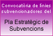 Convocatòria per a l'any en curs de línies subvencionadores del Pla Estratègic de Subvencions de l’Ajuntament de Lleida (2008-2010)