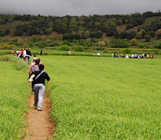 740 persones participen a la caminada d'Avià i gaudeixen d'un entorn natural molt verd