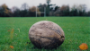Ple urgent per aprovar les cessions de terrenys destinats a centres de Korfball i Rugby