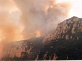 L'any 1986 es van cremar 5.000 hectàrees de la muntanya de Montserrat