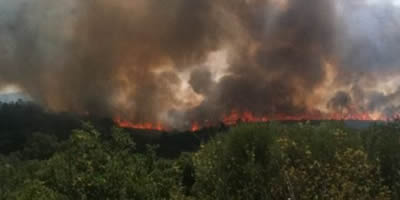 Incendi a Garriguella (foto: editto_3)