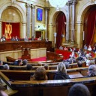 Els senadors designats pel parlament hi compareixeran abans que el senat no voti la reforma