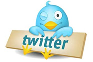 Logo Twitter ocell 185