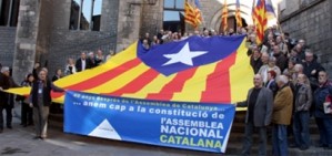 Presentació de la sectorial de cultura de l'Assemblea Nacional Catalana