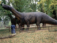 Aragosaurus 185