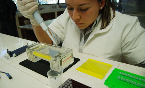 Biotecnologa en el laboratori