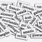 VilaWeb publica articles especials en llengües diverses