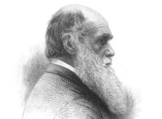 Charles Darwin va morir el 1902 / THINKSTOCK