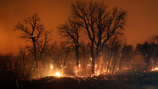 Incendis. L'Alt Empordà crema amb flames en l'incendi forestal de la zona de Figueres/ David Borrat