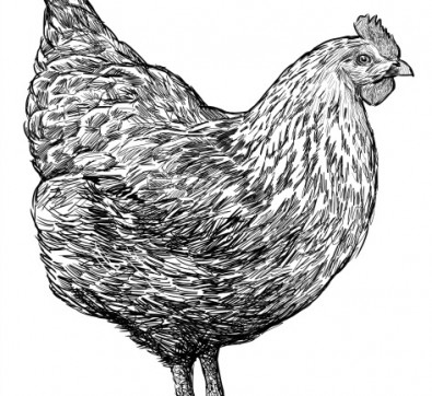 Croquetes de pollastre amb samfaina