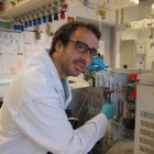 Un investigador valencià, a l'equip que ha seqüenciat el primer genoma humà trobat a Euràsia