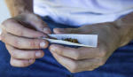 Consum de cànnabis: quins factors influeixen en els seus efectes? 