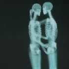 Enamorats fins al moll de l'os, el vídeo que triomfa a la xarxa