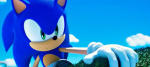 L´eriçó Sonic compleix 25 anys 