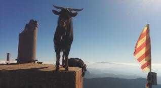 Un boc i una cabra envesteixen els excursionistes del Puigsacalm 