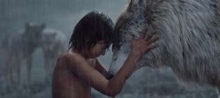 El Mowgli definitiu arriba a la gran pantalla 