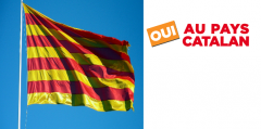 Perpinyà es mobilitza per reclamar unes institucions pròpies per a la Catalunya Nord