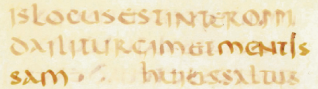 Un document que no ha vist gairebé ningú guarda el nom més antic de Manresa 