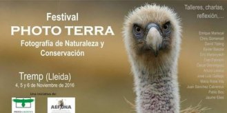 Festival Photo Terra