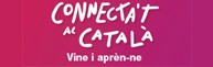 Baner català 2017