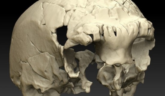 Troben un dels cranis humans més antics d'Europa