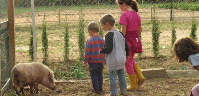 Uns nens, a la granja escola Casa Nostra. Foto: Arxiu.