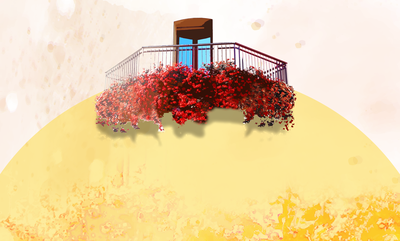 VI  Concurs de guarniment de jardins i balcons amb plantes i elements florals