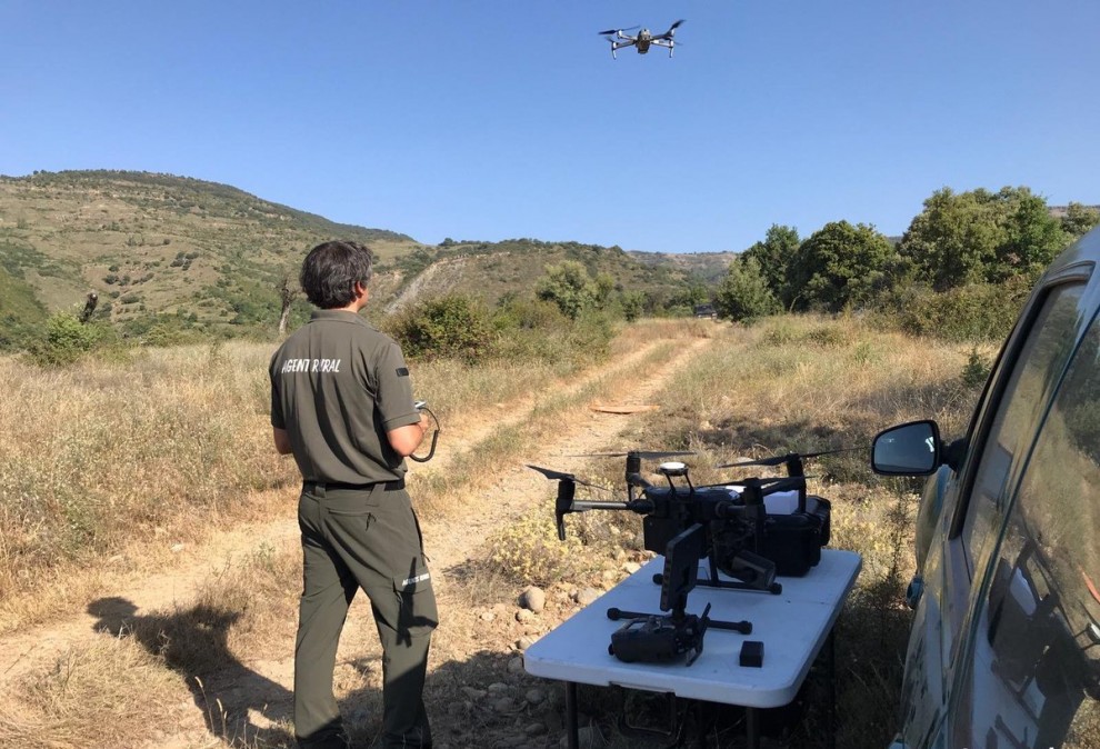 Els drons i els sensors que poden transportar poden ajudar a detectar les afectacions forestals de manera ràpida, fiable i econòmica