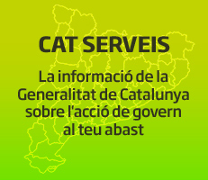 CAT SERVEIS