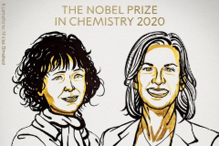 Premio Nobel de Química para el desarrollo del método de edición genética de las "tijeras Crispr"