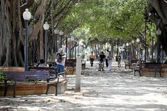 La Plaza de Canalejas, en Alicante, donde se produjo la agresión.