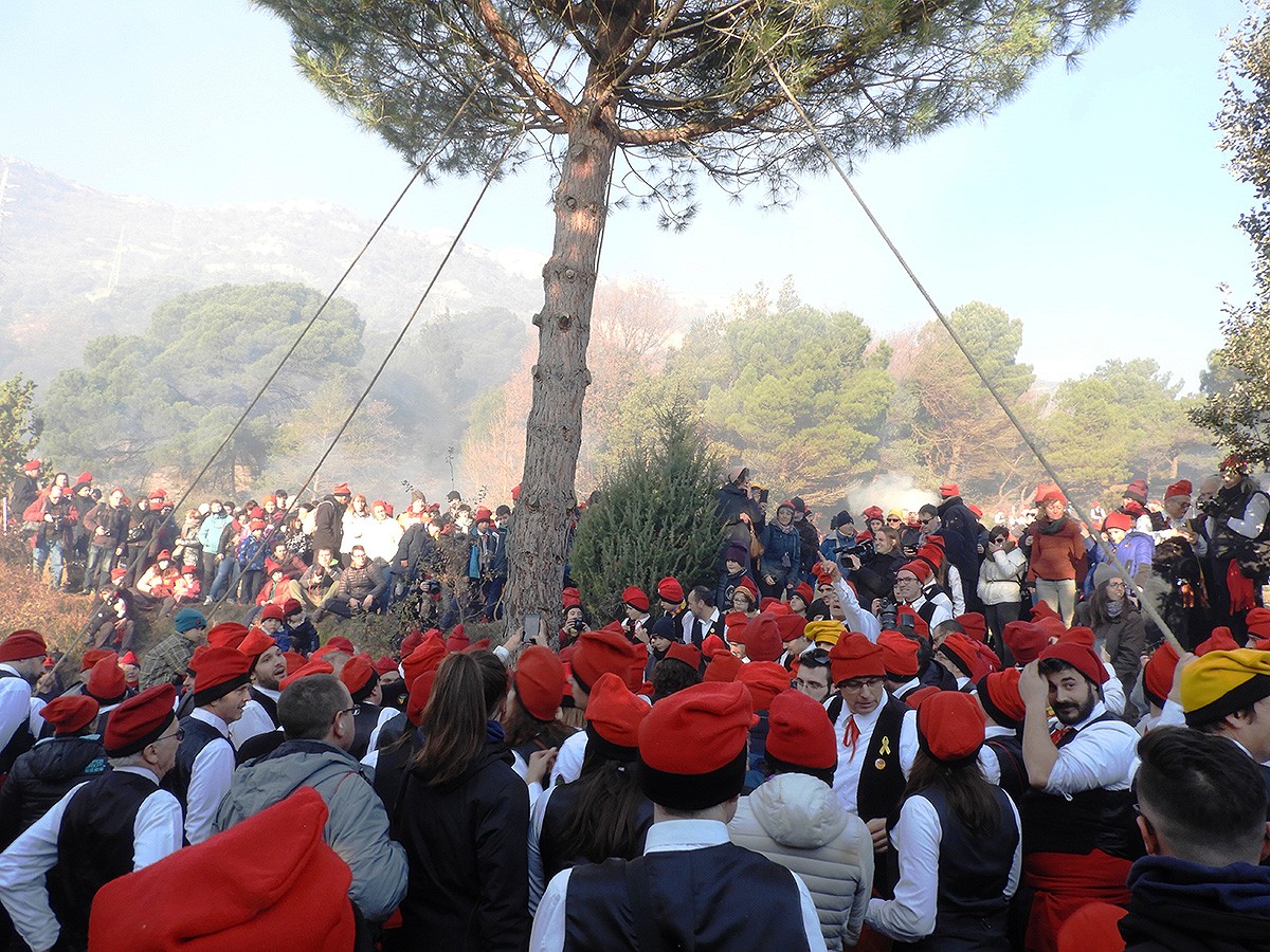 La Festa del Pi se celebra cada 30 de desembre a Centelles
