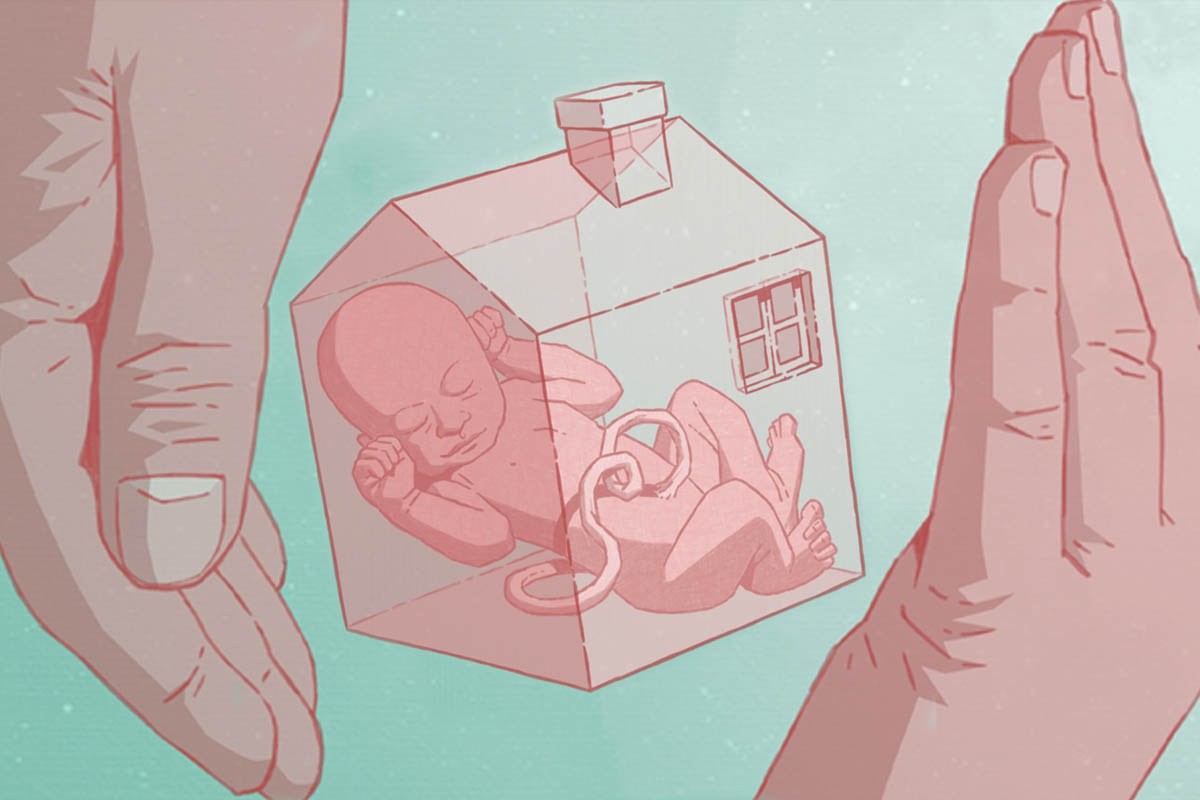 Una placenta artificial per als nadons prematurs