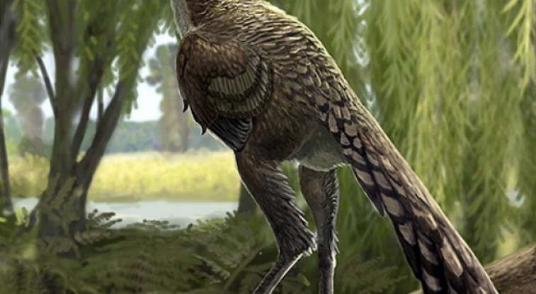 Investigadors de l'ICP descriuen una nova espècie de dinosaure carnívor del Pirineu