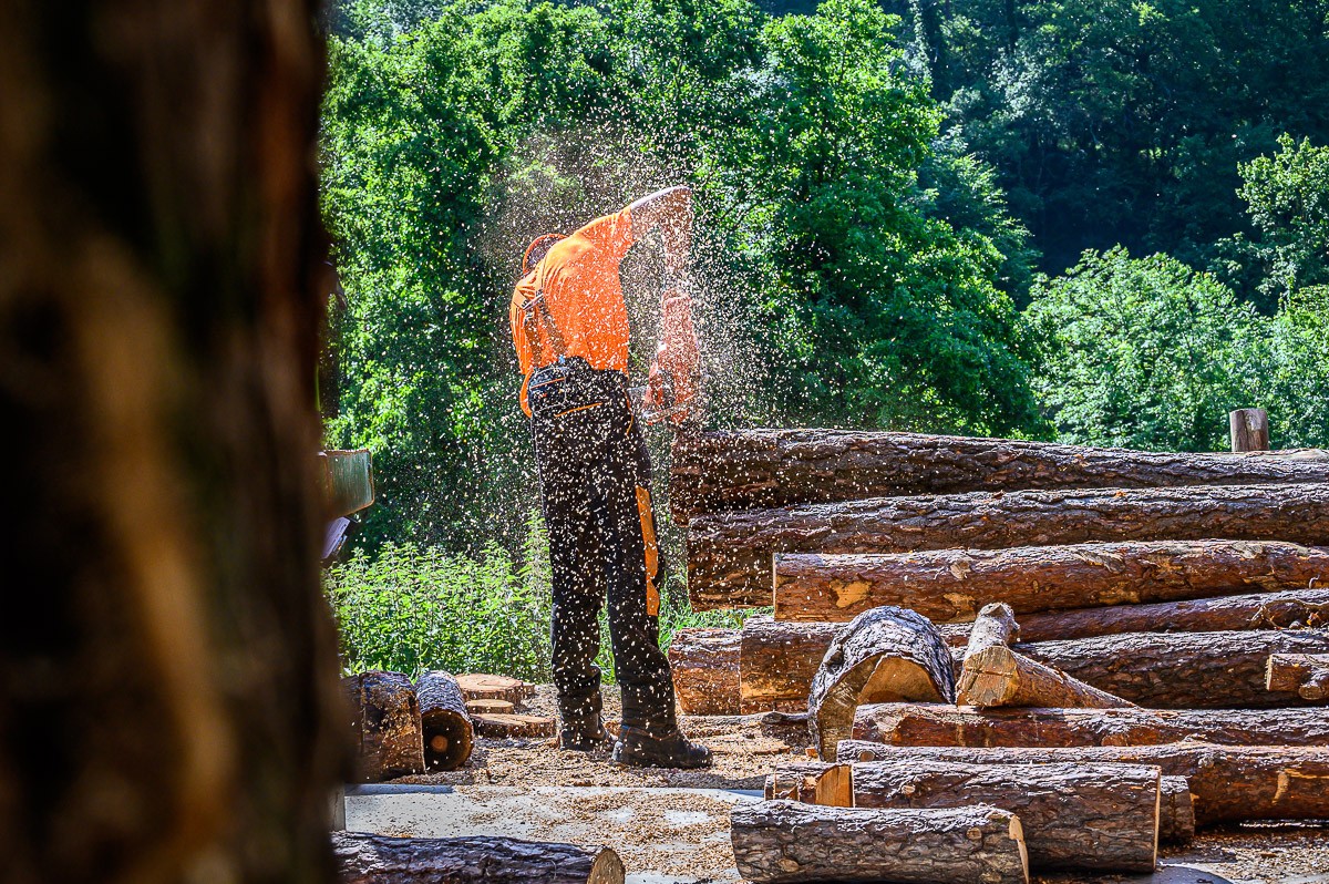 La biomassa és una energia renovable que permet gestionar els boscos