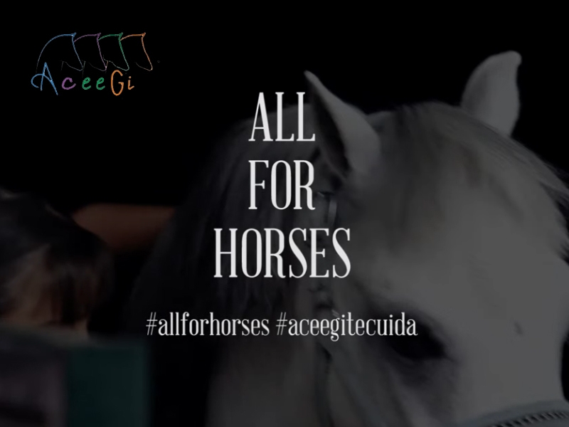 “All For Horses”