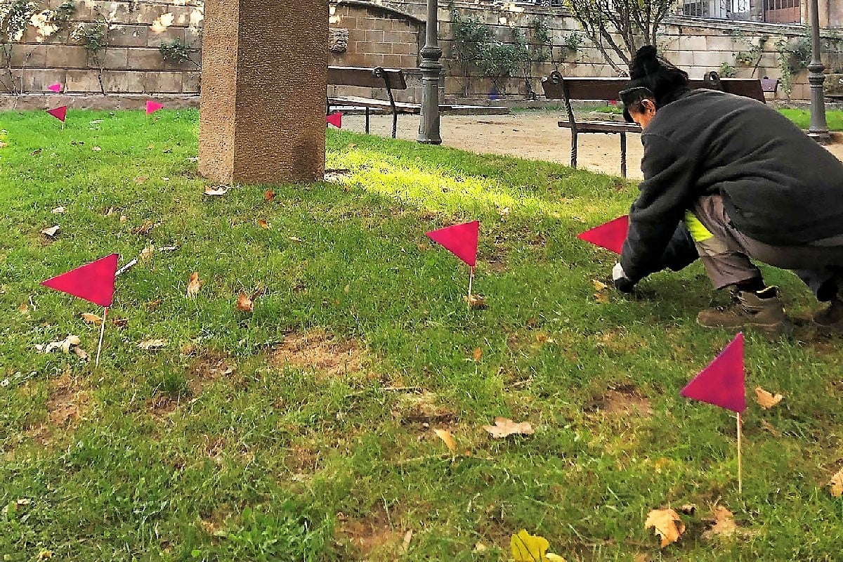 Una operària municipal planta les banderoles a la Plaça de Sant Pere marcant els excrements que s'hi troben