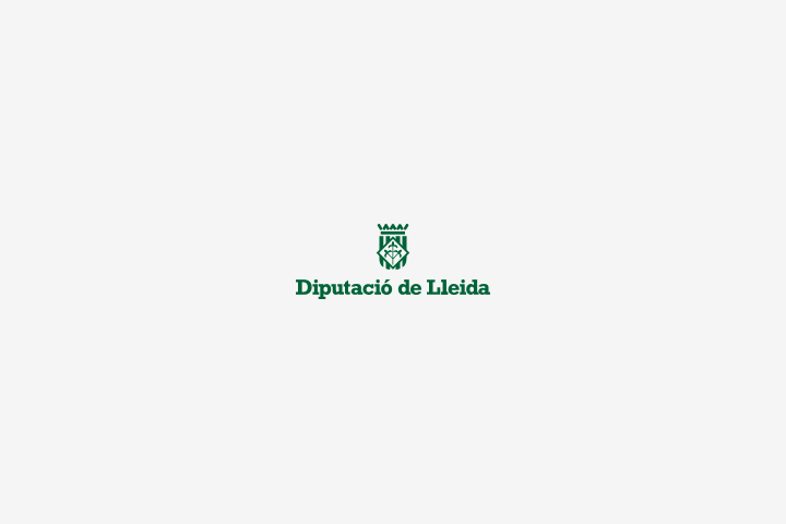 Segueix en directe el Ple de gener de la Diputació de Lleida