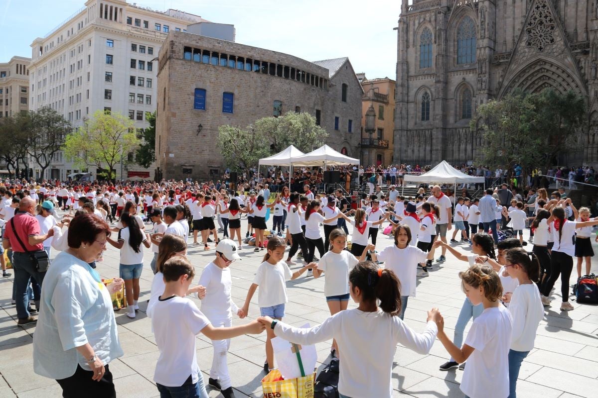 Grups d'escolars ballant sardanes a la plaça de la Catedral