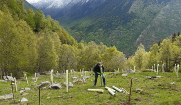 EuropaPress 5208156 platancion 7000 arboles frutales mejorar habitat oso pardo favorecer
