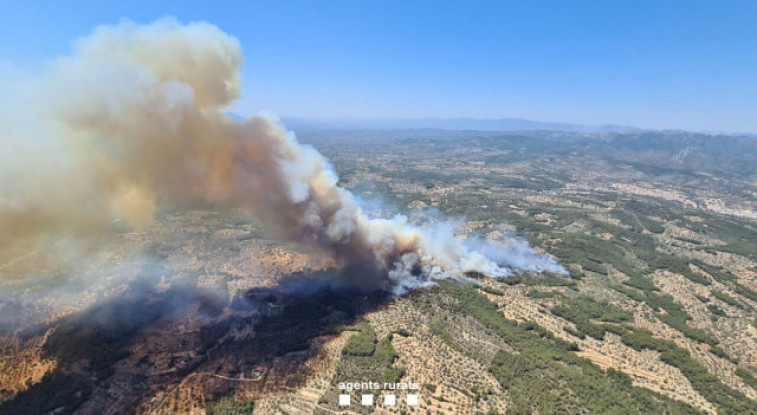 Controlat l'incendi forestal al Perelló